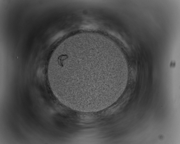 X0000103931254200810311509