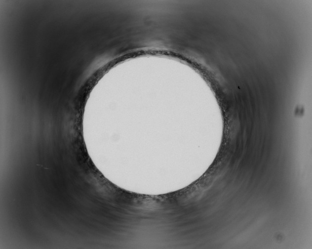X0000103931255200810311509
