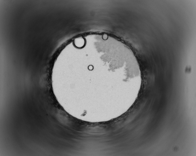 X0000103931256200810311509