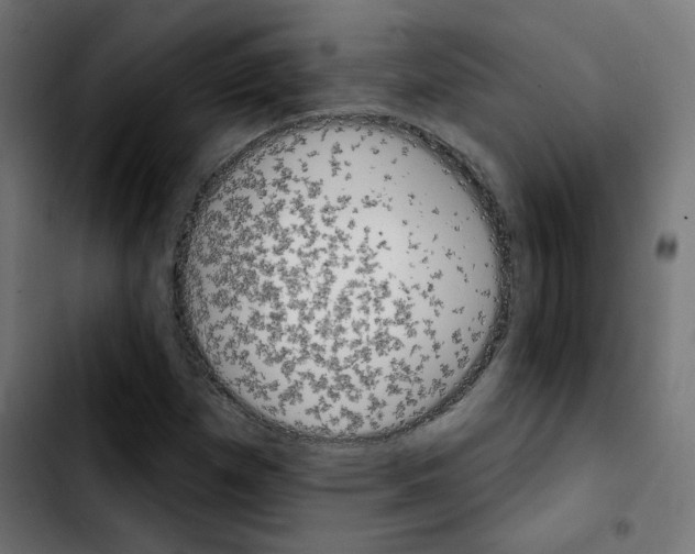 X0000103931257200810311509