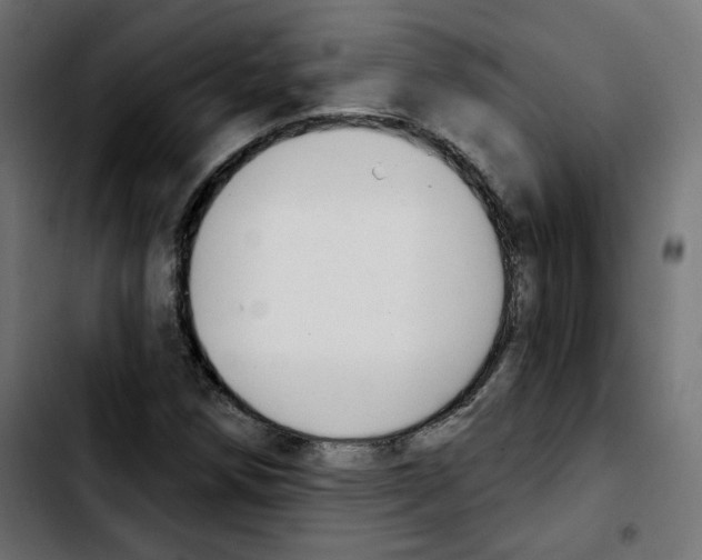 X0000103931258200810311509