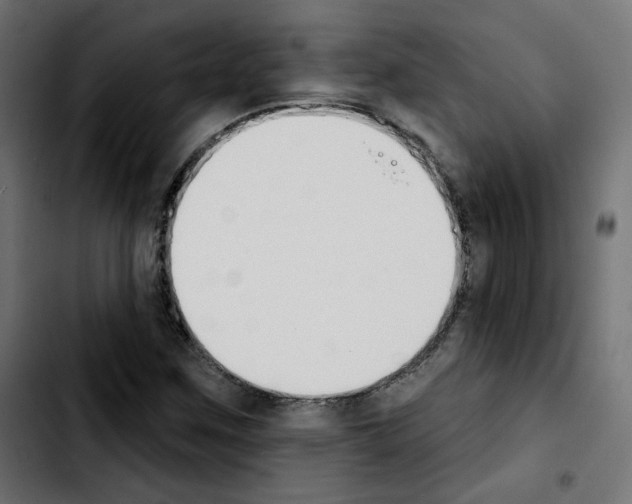 X0000103931259200810311509