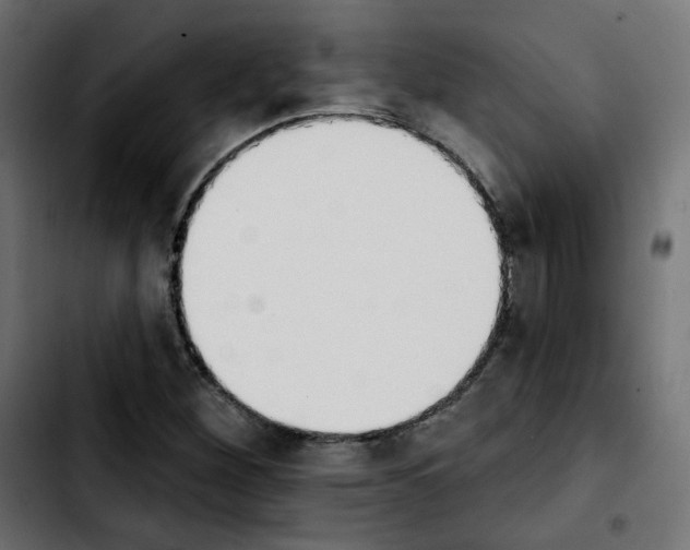 X0000103931260200810311509