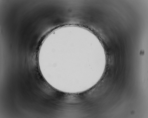X0000103931262200810311509