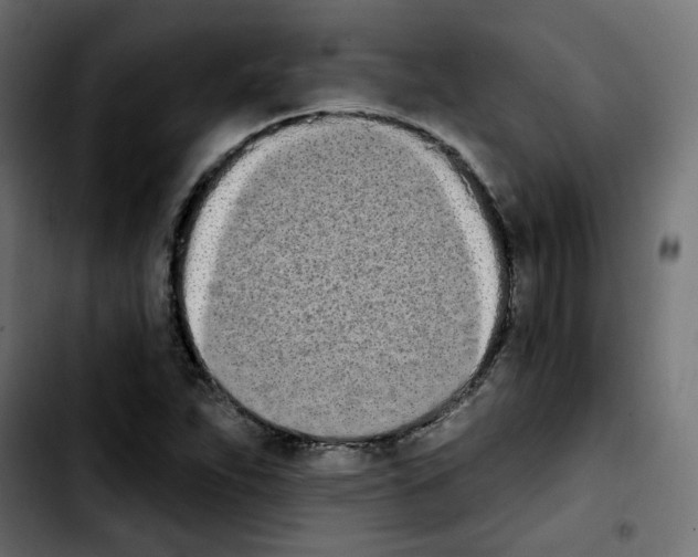 X0000103931263200810311509