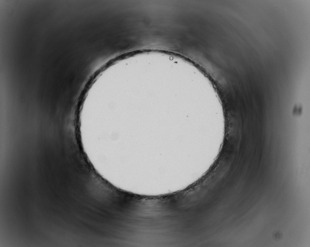 X0000103931264200810311509
