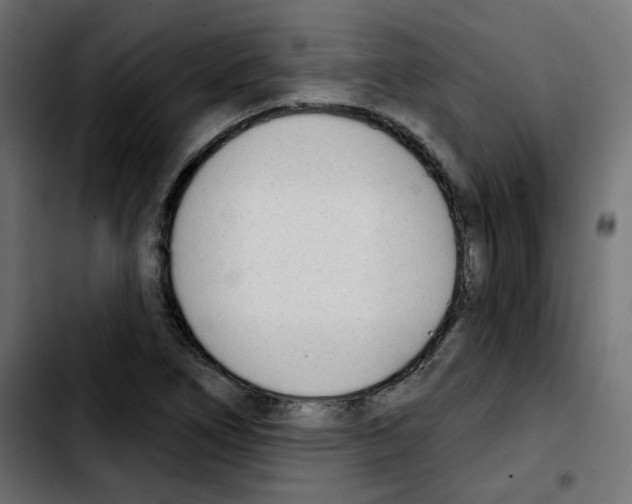 X0000103931266200810311509