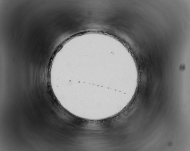 X0000103931267200810311509