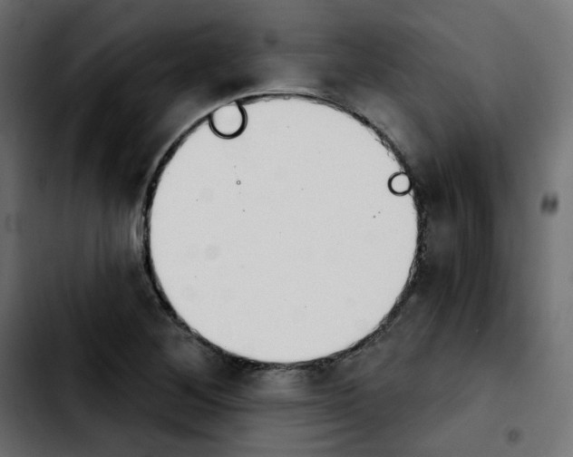 X0000103931268200810311509