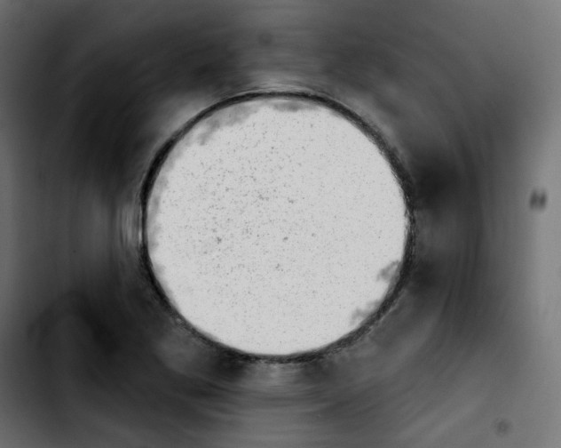 X0000103931269200810311509