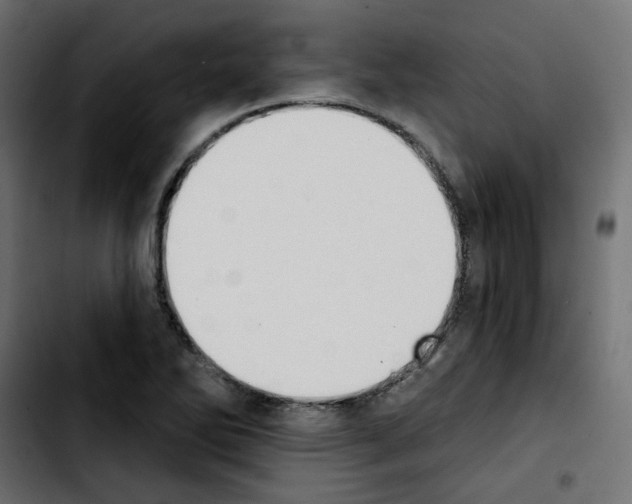 X0000103931270200810311509