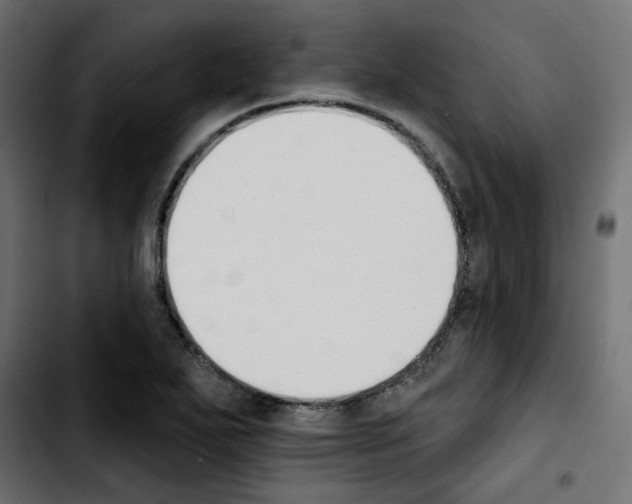 X0000103931271200810311509