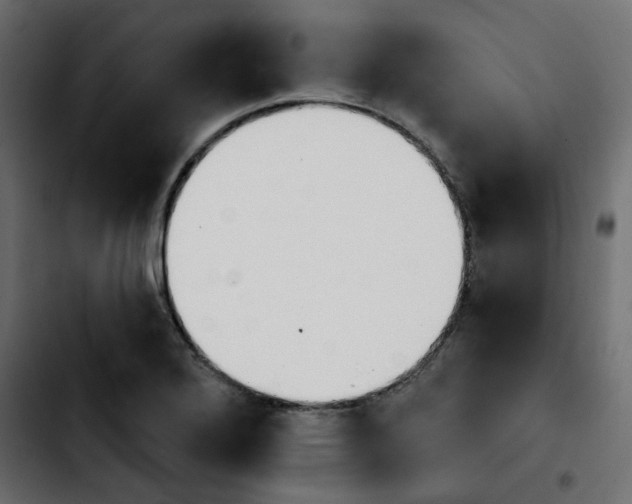 X0000103931272200810311509
