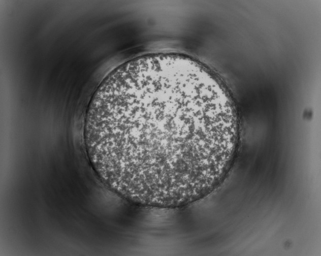 X0000103931273200810311509
