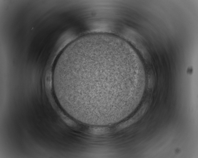 X0000103931274200810311509