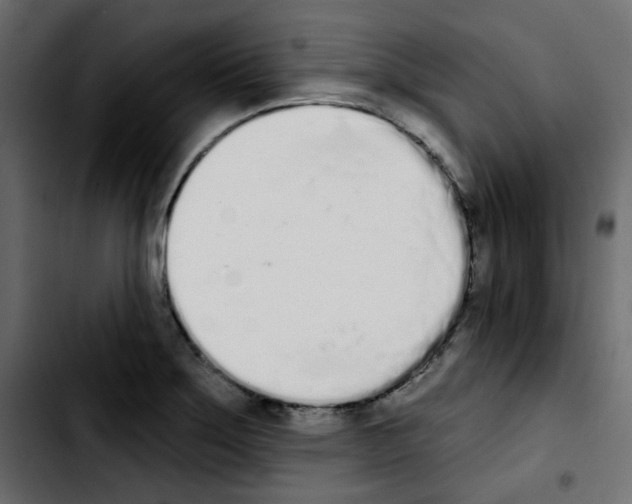 X0000103931275200810311509