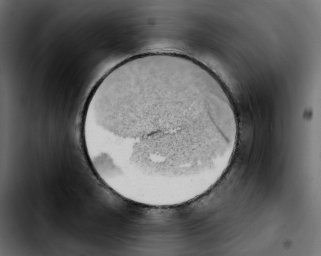 X0000103931277200810311509