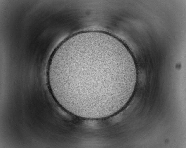 X0000103931278200810311509