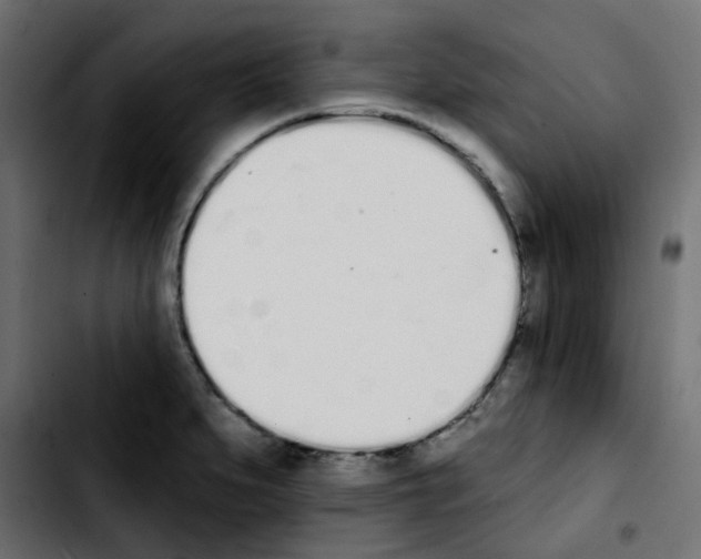 X0000103931279200810311509
