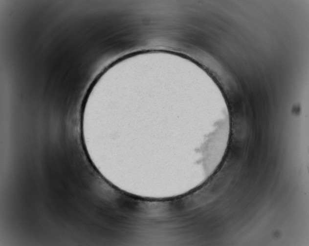 X0000103931280200810311509