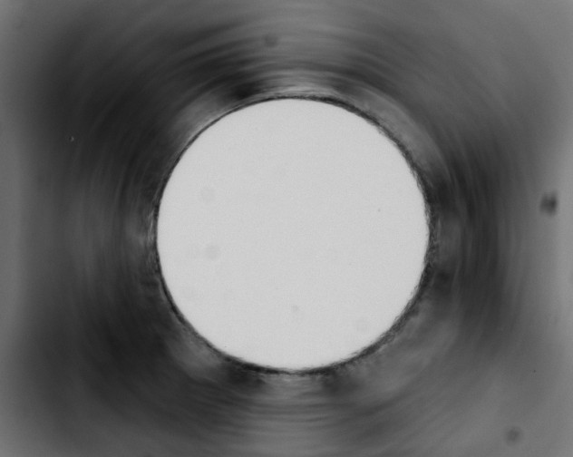 X0000103931281200810311509