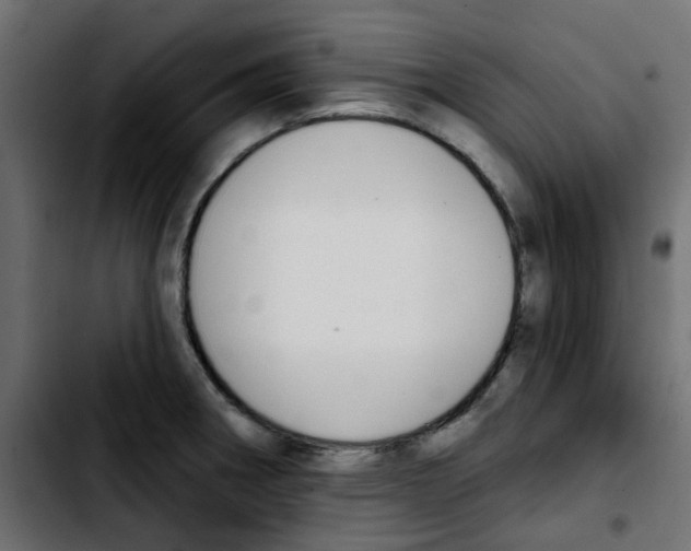 X0000103931282200810311509