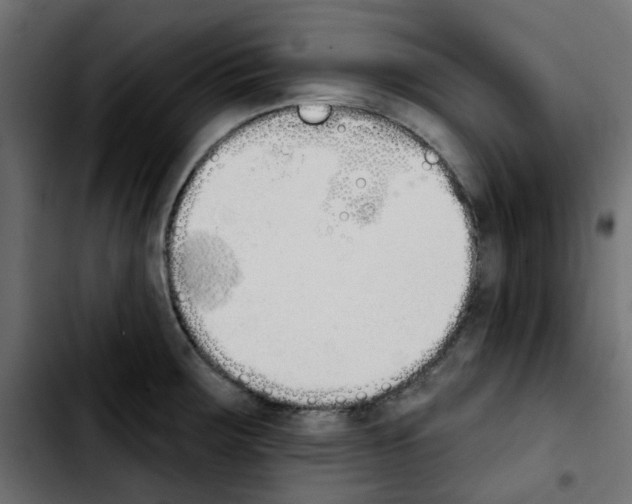 X0000103931283200810311509