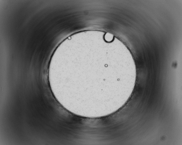 X0000103931284200810311509