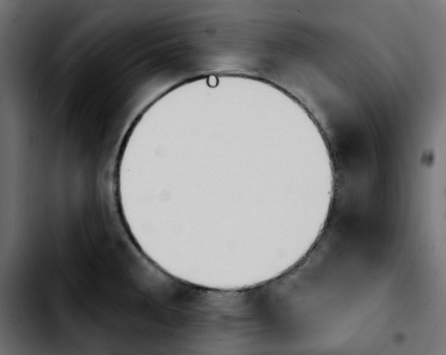 X0000103931285200810311509