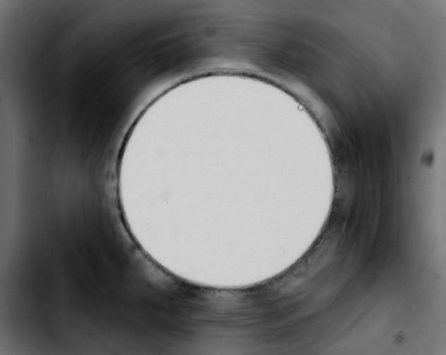 X0000103931287200810311509