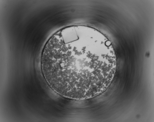 X0000103931288200810311509