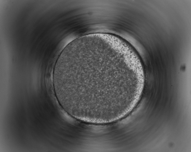 X0000103931289200810311509