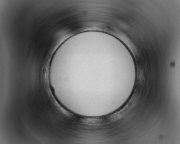 X0000103931290200810311509