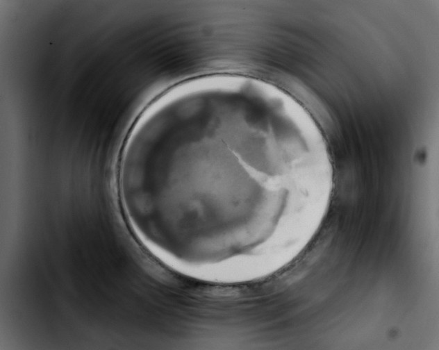 X0000103931291200810311509