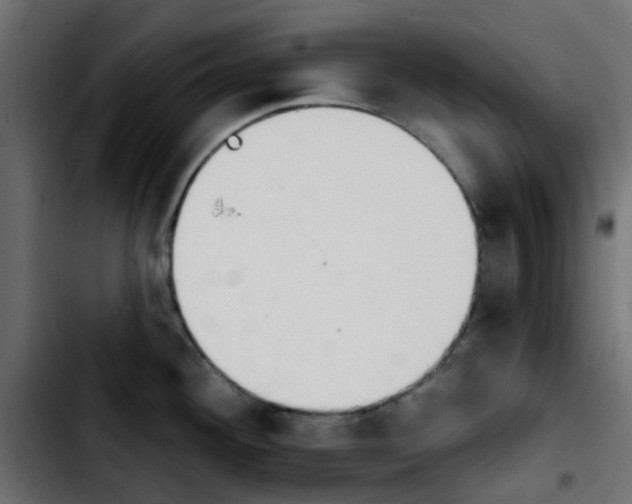 X0000103931292200810311508
