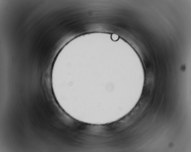 X0000103931293200810311508