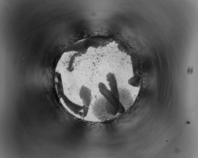 X0000103931298200810311508