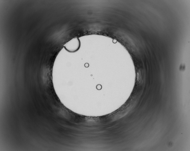 X0000103931299200810311508