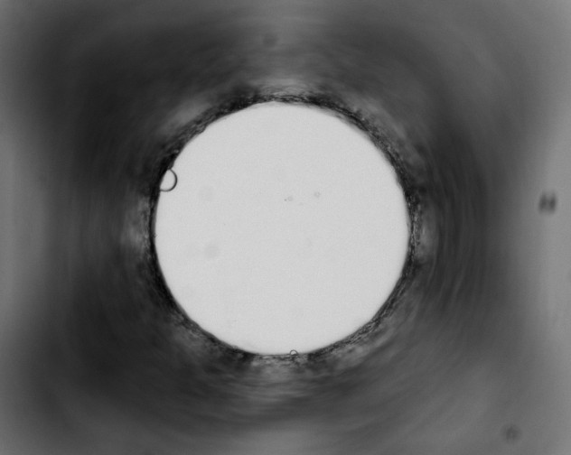 X0000103931301200810311508