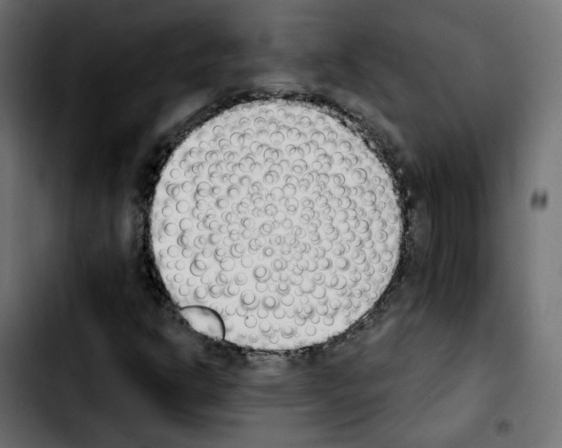 X0000103931302200810311508