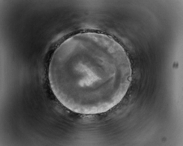 X0000103931303200810311508