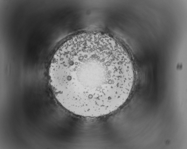 X0000103931304200810311508