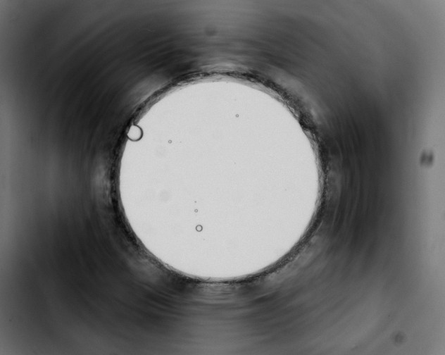 X0000103931305200810311508