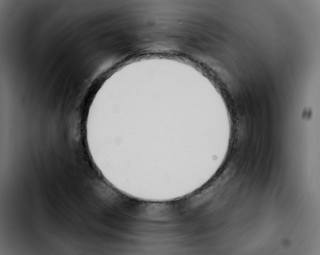 X0000103931306200810311508