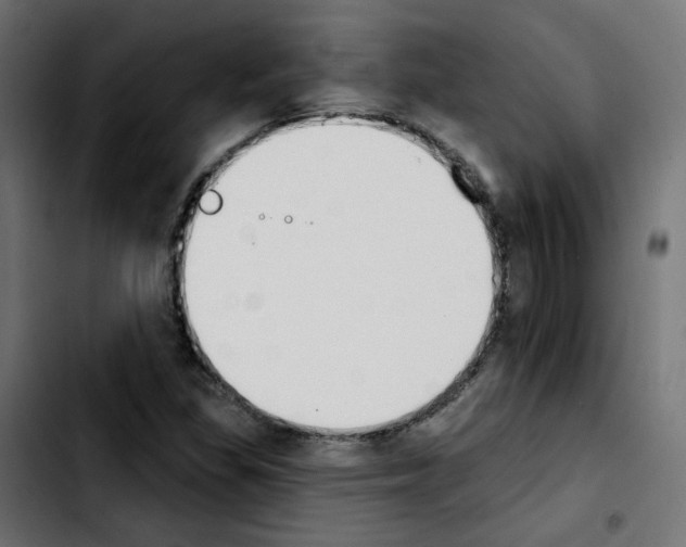 X0000103931309200810311508