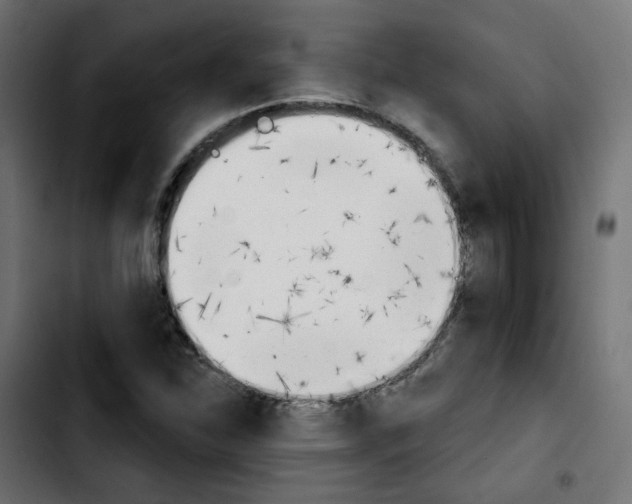 X0000103931310200810311508