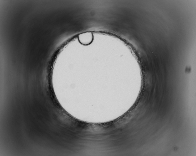 X0000103931311200810311508
