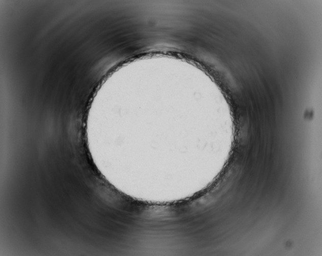 X0000103931313200810311508