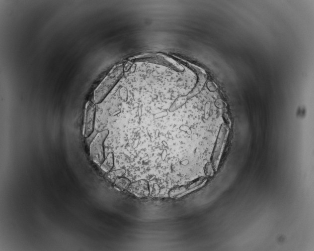X0000103931314200810311508