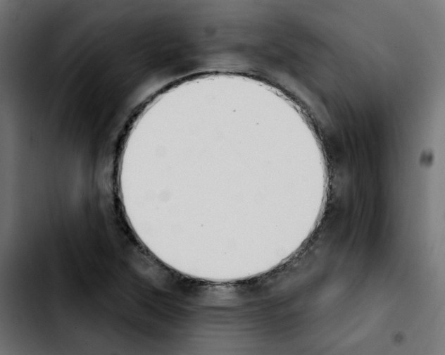 X0000103931315200810311508